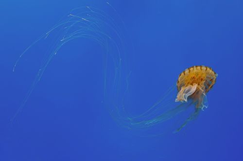 20260621161729707.jpg